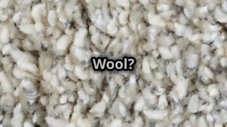 چرا قالیفرشان؟