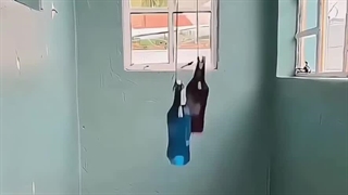 هسته گیر و اسلایسر شرکت تاوریس صنعت