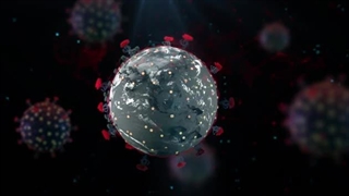 Nano bio robotic (Dr.Afshin Rashid)