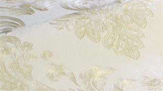 نمایندگی اکستریم والز