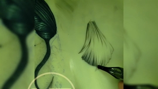 نحوه اجرا تتو موی انسان.  پرتره.  آموزش اصولی و کاربردی تتو بدن 09223729094. میلاد فراهانی