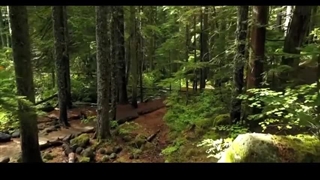 تصنیف خیال روی عیاران