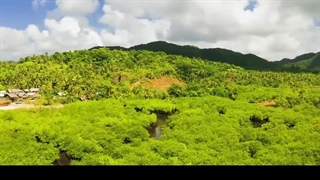 تصنیف هلایاران