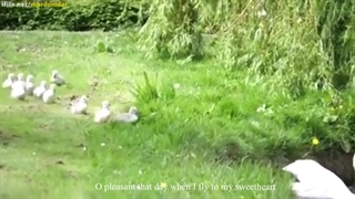 تصنیف مرغ باغ ملکوت