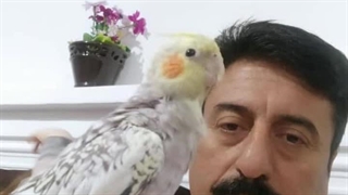 معصوم قنبری از استان زنجان شهر قیدار، عروس هلندی