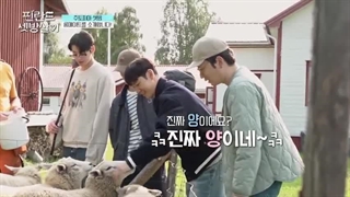 قسمت 7 برنامه Rented in Finland + زیرنویس فارسی