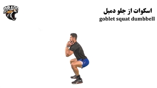 گابلت اسکوات دمبل [روش صحیح انجام حرکت]