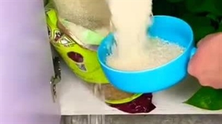 مراقبت از برنج ها با استفاده از جا برنجی جدید و شیک