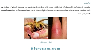 سم نابودی رتیل بزرگ - بهترین سم رتیل کش