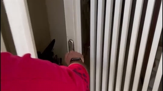 ساعت کاری رستا