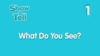 What do you see? - S2 - آموزشگاه زبان شایان