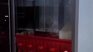 جا حبوباتی مکانیزم دار ریلی پگانی