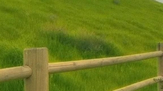 ᴀɴ ᴀɴɢᴇʟ ᴛᴏ ᴛʜᴇ ʀᴇꜱᴄᴜᴇ +کپ