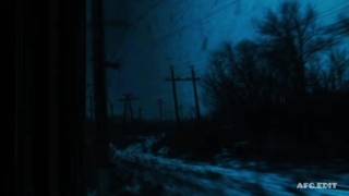 لیریک فارسی آهنگ wildflower از بیلی آیلیش BILLIE EILISH