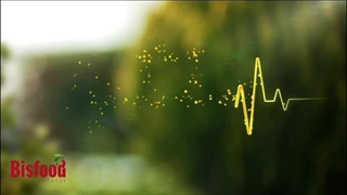 بیسفود ، ضربان زندگی