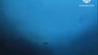 Real mermaids Atlantis Human faced fish mermaid PT3 Low Pitch V2