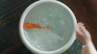 سریال چینی کینه Feud 2025 قسمت 3 زیرنویس چسبیده (کیفیت بالاتر توضیحات)