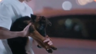 میکس از سریال چینی درخت زیتون سفید