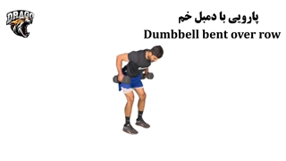آموزش کامل حرکت پارویی با دمبل خم | تقویت عضلات پشت