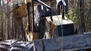 چوب بران باتلاق 4 اسفند 1402