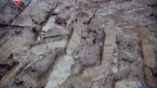 چوب بران باتلاق 18 اسفند 1402