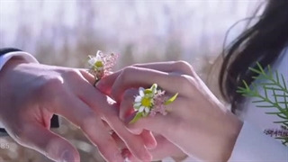 سریال افسانه روباه نه دم فصل اول قسمت آخر با دوبله فارسی